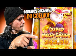 melhor horário para jogar o jogo do touro